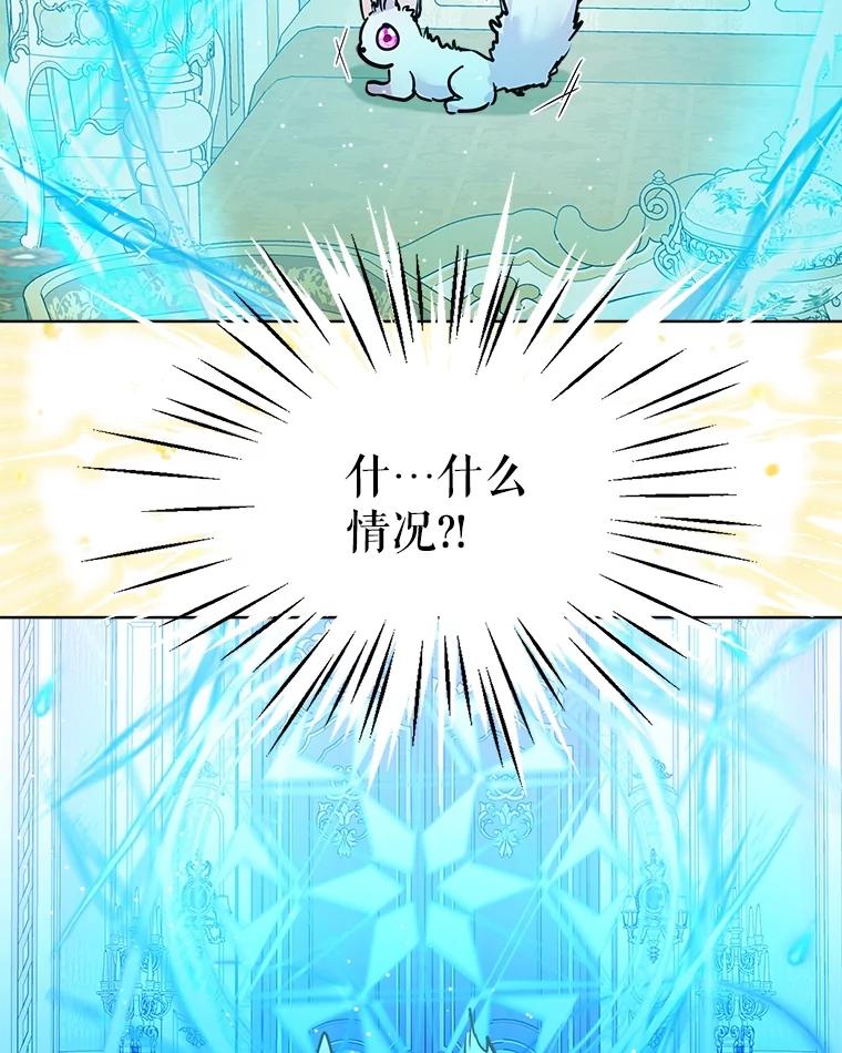 重生为神兽宝宝 - 3.魔法师 - 第69张图