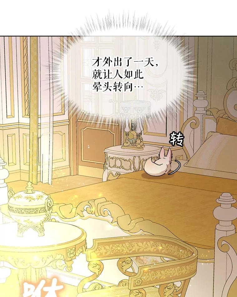 重生为神兽宝宝 - 3.魔法师 - 第65张图