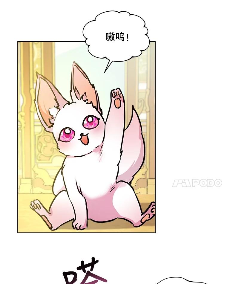 重生为神兽宝宝 - 3.魔法师 - 第63张图