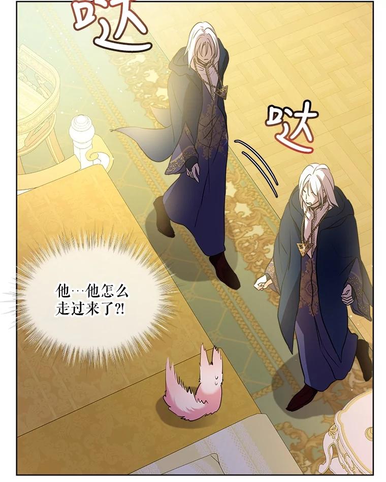 重生为神兽宝宝 - 3.魔法师 - 第78张图