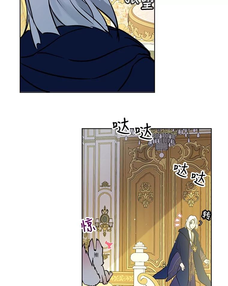 重生为神兽宝宝 - 3.魔法师 - 第75张图