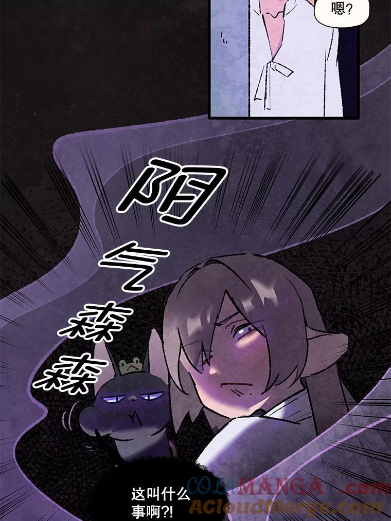 《在流星坠落之处等待》93.瘟疫魔女的村庄（3） 第55页