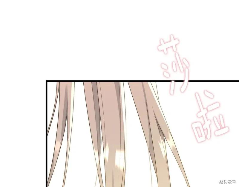 《明明是冷美人小姐却变成了忠犬大少爷》第74话 第138页