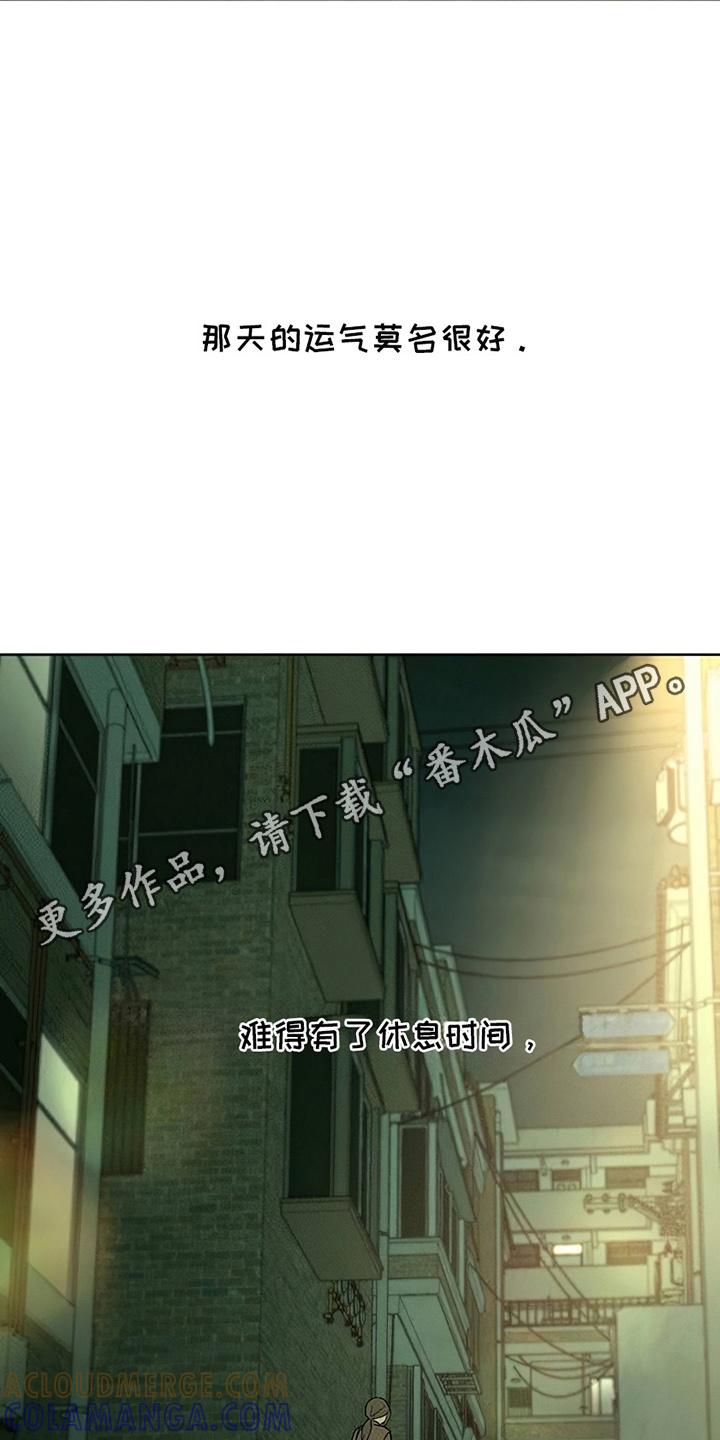 枯萎的花伤心的泪 第27章：在暗地保护 第23页