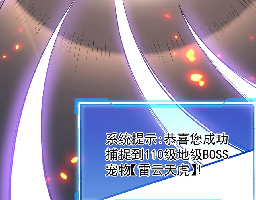 网游：因为太浪，我成了全服公敌！ 第99话 宠物进阶 第12页