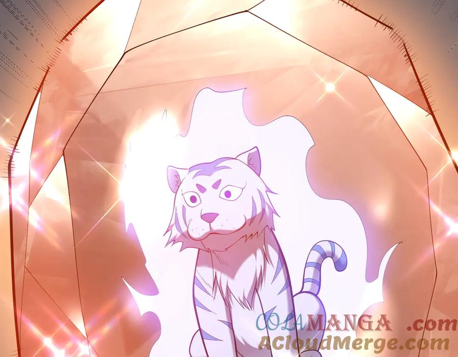 网游：因为太浪，我成了全服公敌！ 第99话 宠物进阶 第17页