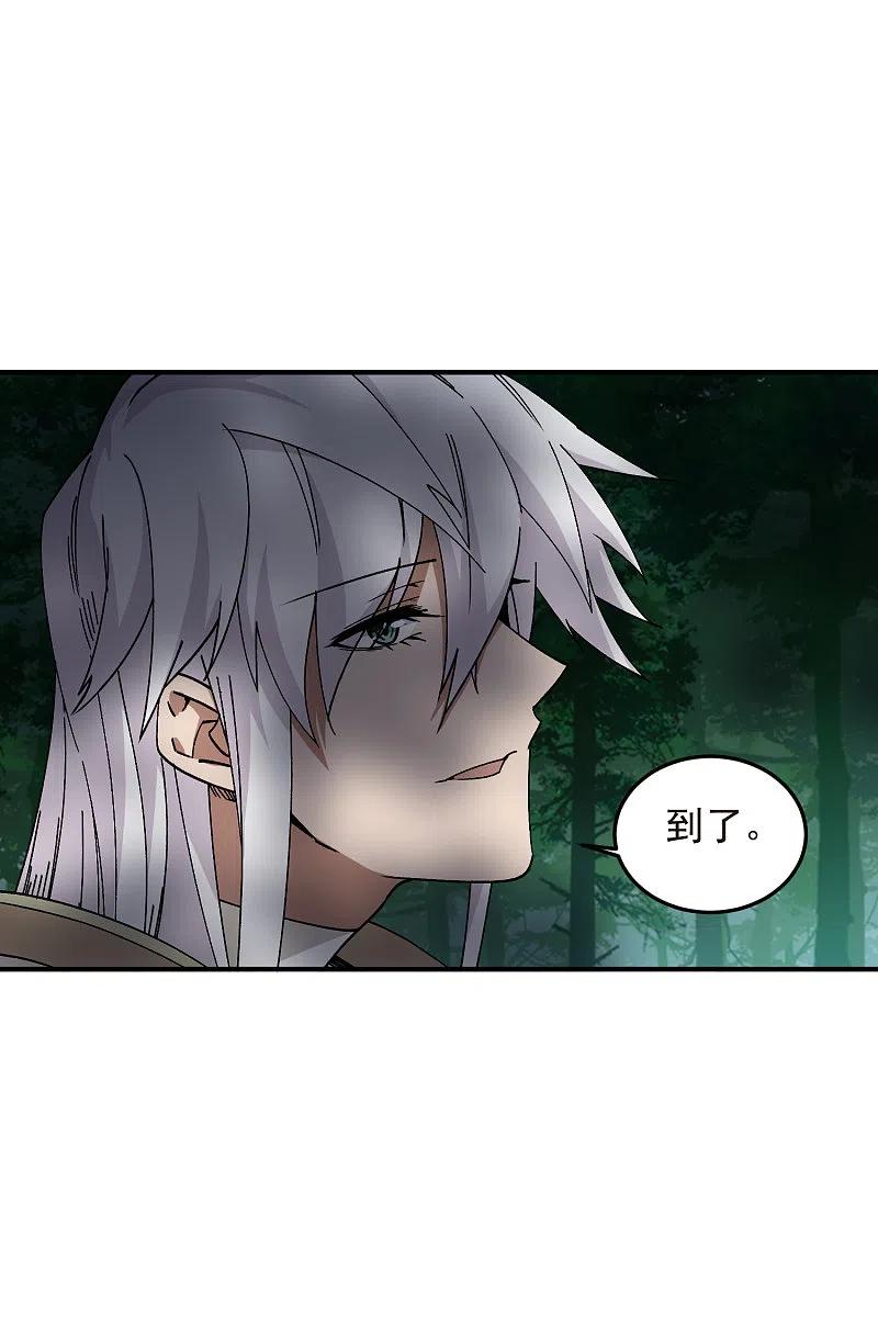 网游之近战法师 第431话 登高 第11页
