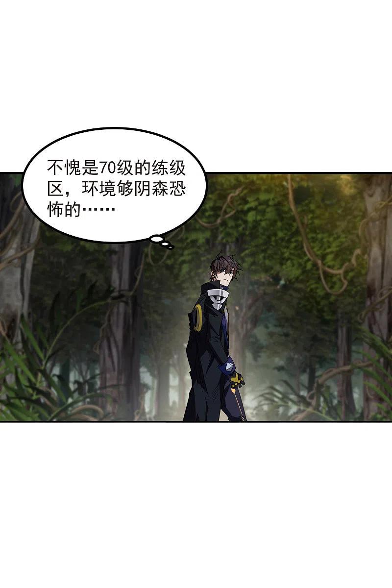 网游之近战法师 第450话 70级练级区 第24页