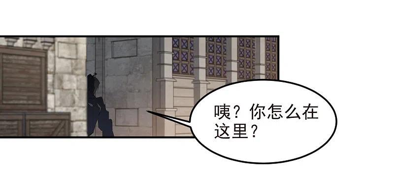 网游之近战法师 第463话 一穷二白 第12页