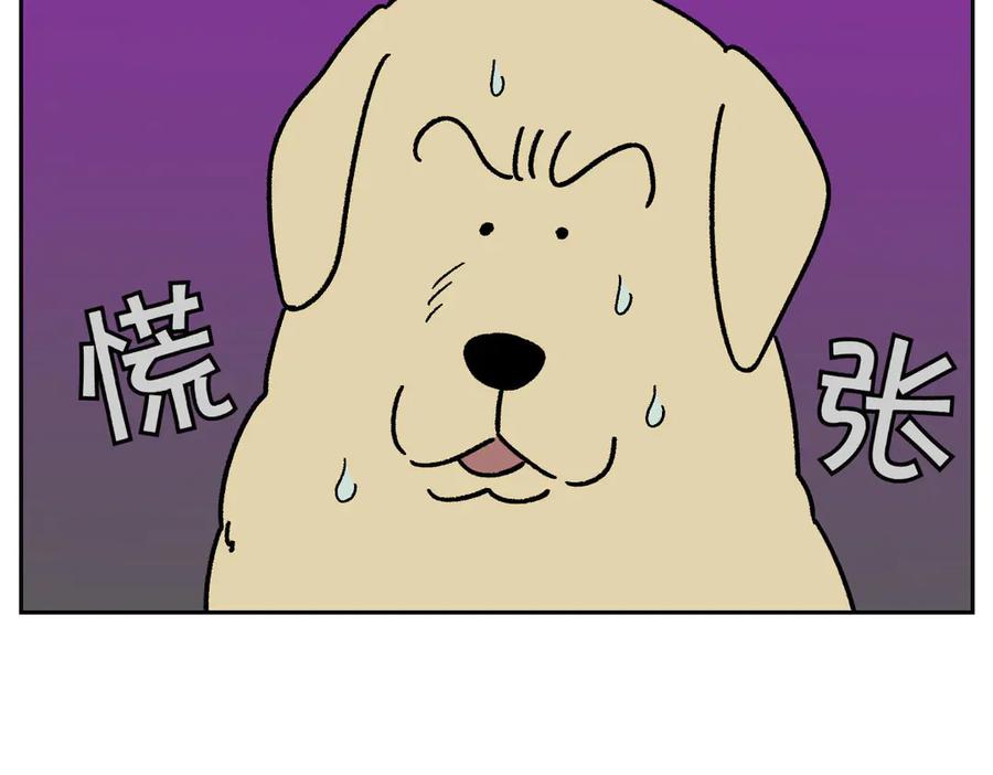 《我的狗子叫棉花》第51话 没有狗狗就互不相识的人们 第41页