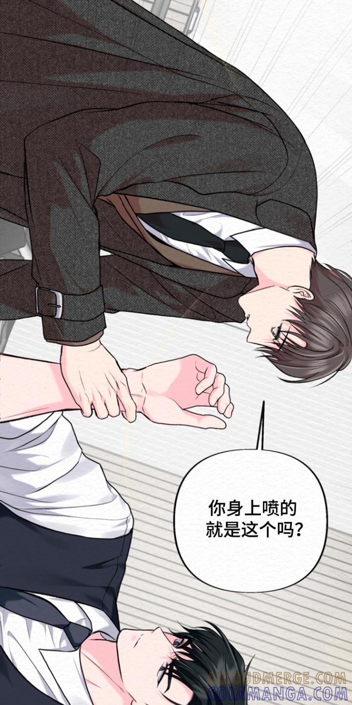 《给记忆添香》第34章：不要肤浅 第11页