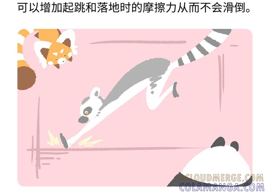 《胖达x胖达》第265话 第29页