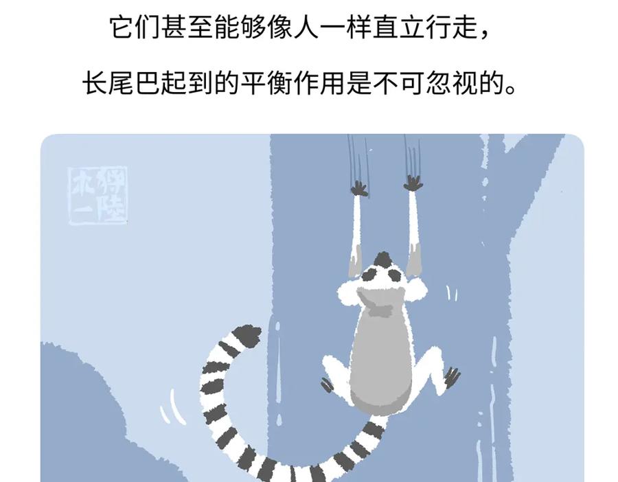 《胖达x胖达》第265话 第30页