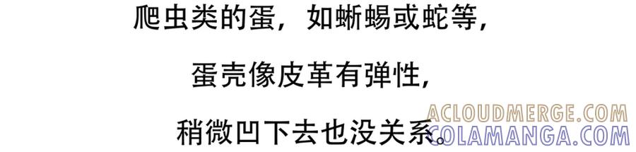 《胖达x胖达》第83话 第29页