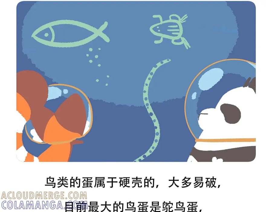 《胖达x胖达》第83话 第27页