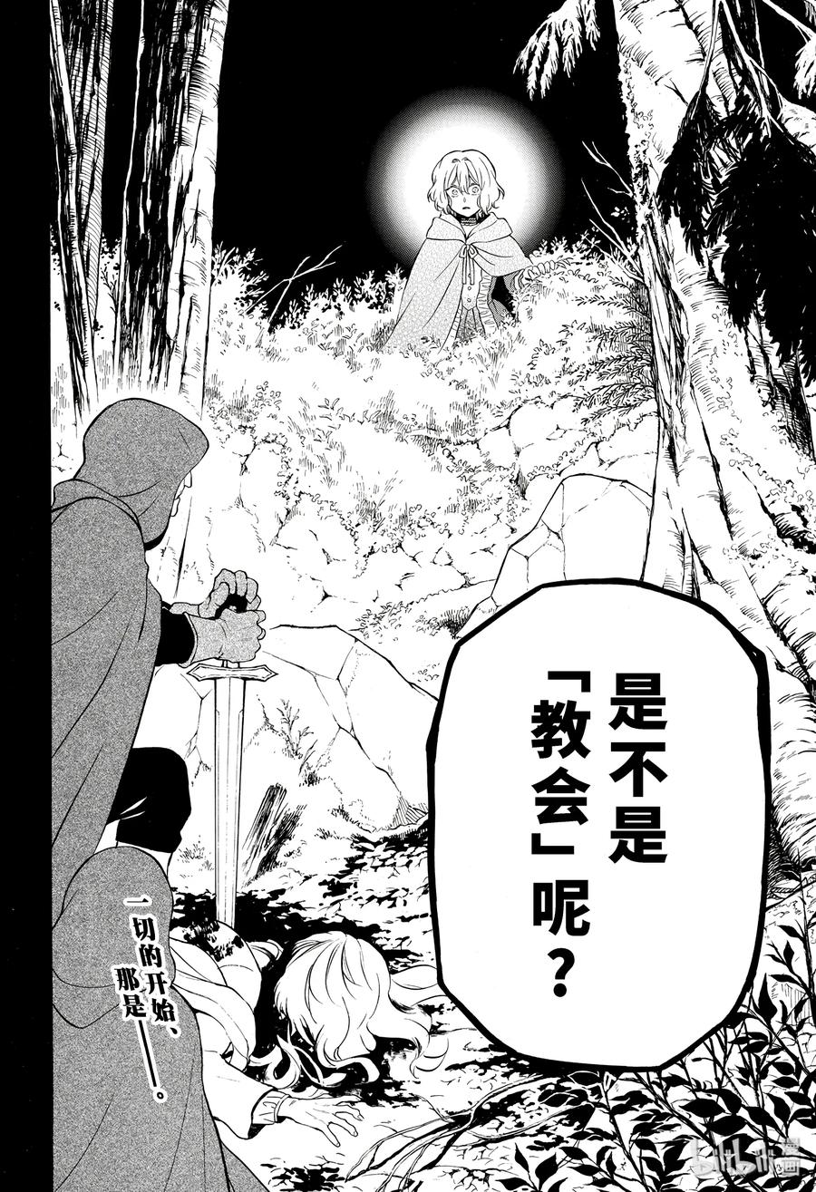 瓦尼塔斯的手记 35 第28页