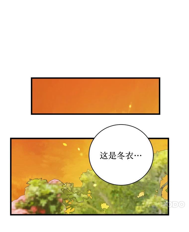 《请痛快地处决我》59.出发北部 第35页