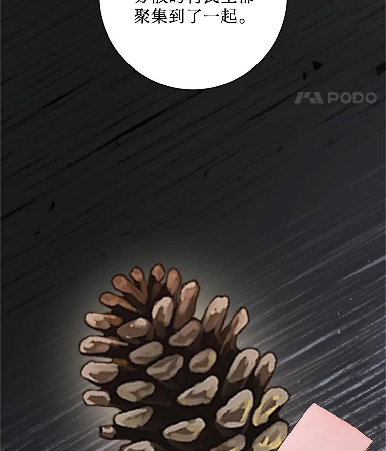 《请痛快地处决我》62.推下去 第12页