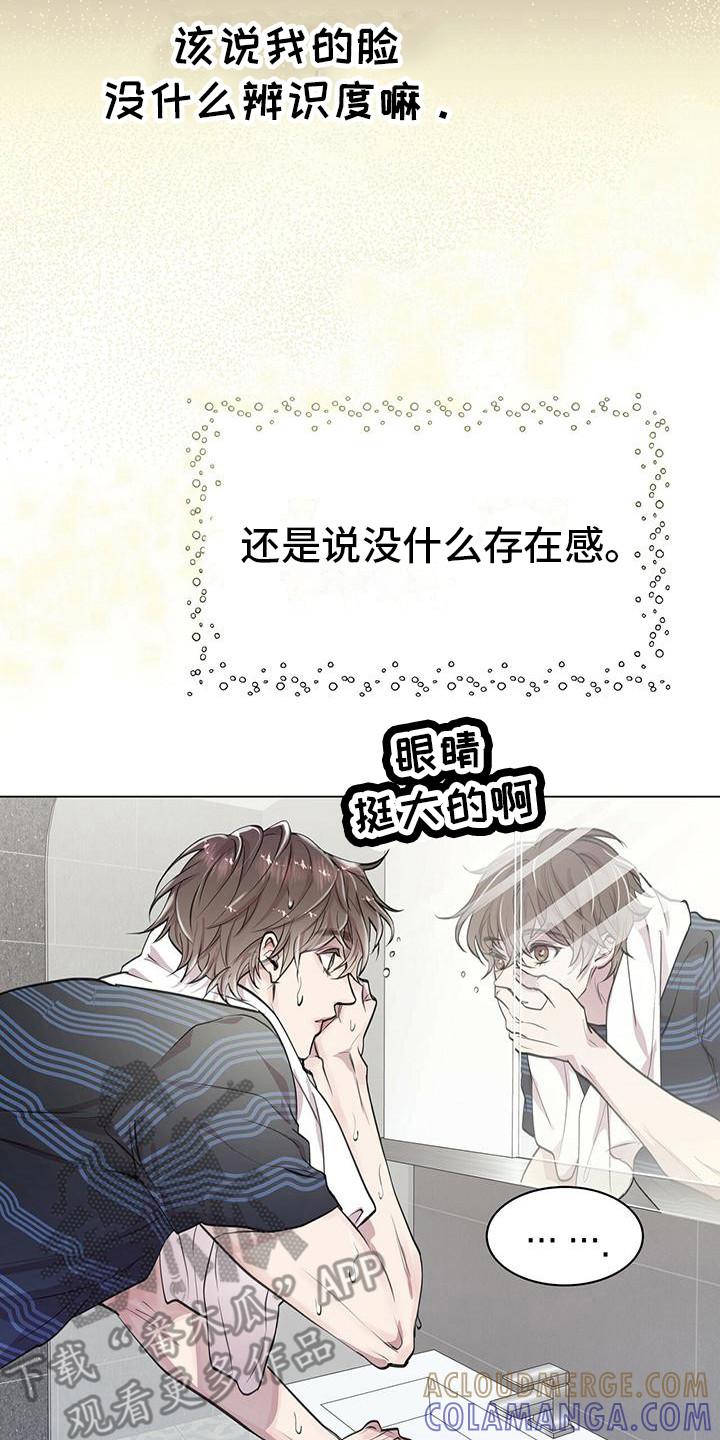 《虚情假意》第11章：平凡的脸 第17页