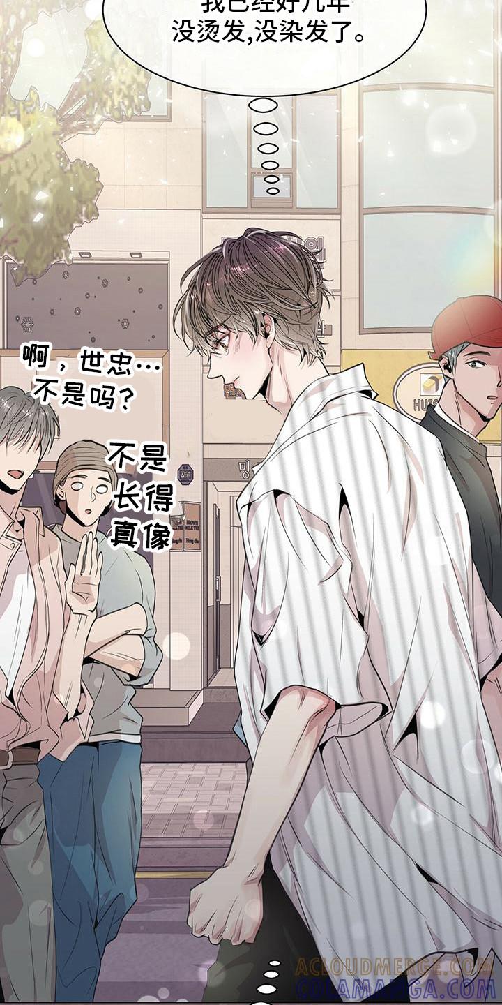 《虚情假意》第11章：平凡的脸 第15页