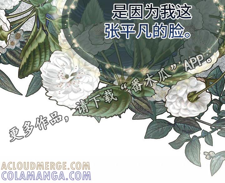 《虚情假意》第11章：平凡的脸 第11页