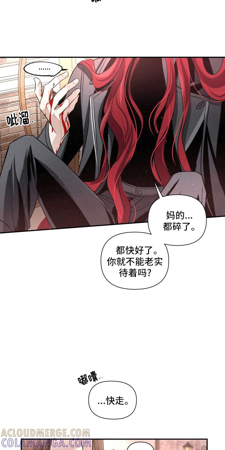 《血液指南》第12章：再次见面 第11页