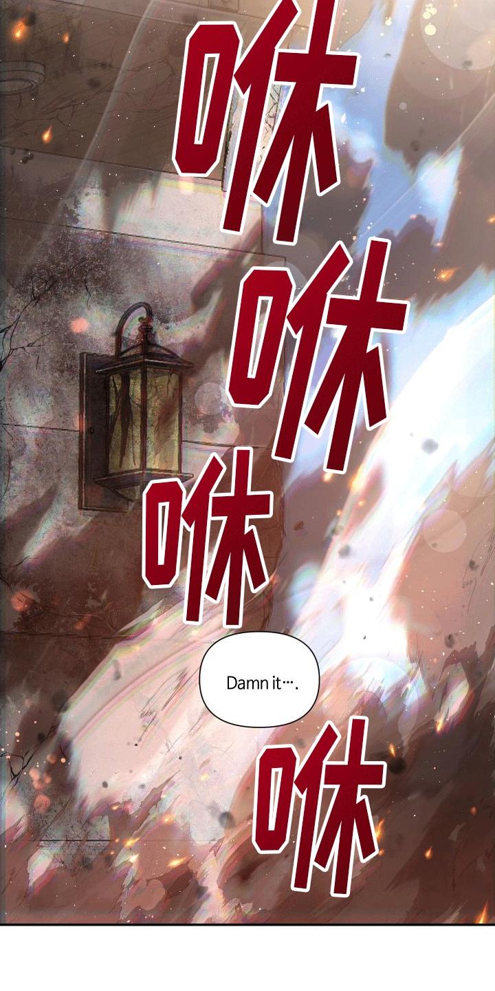 《血液指南》第13章：反击 第12页