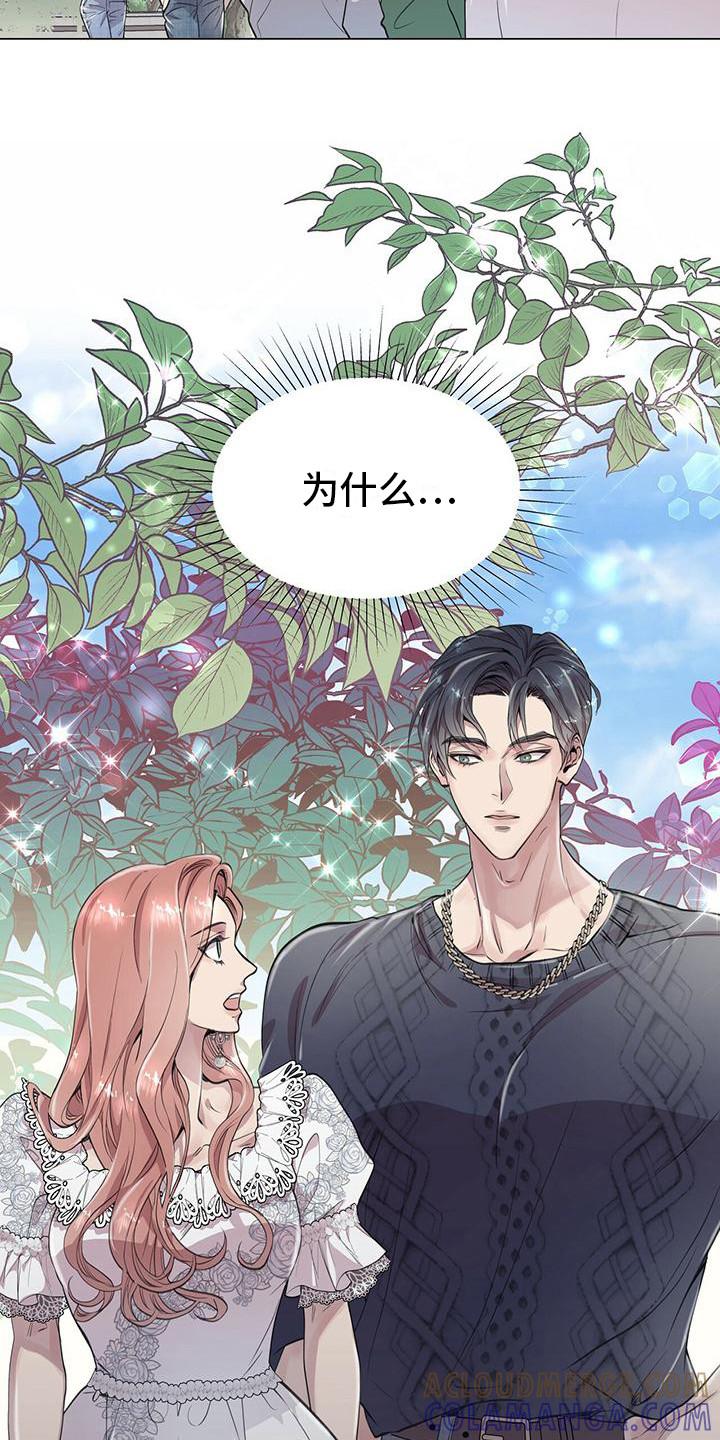 《虚情假意》第13章：公园巧遇 第19页