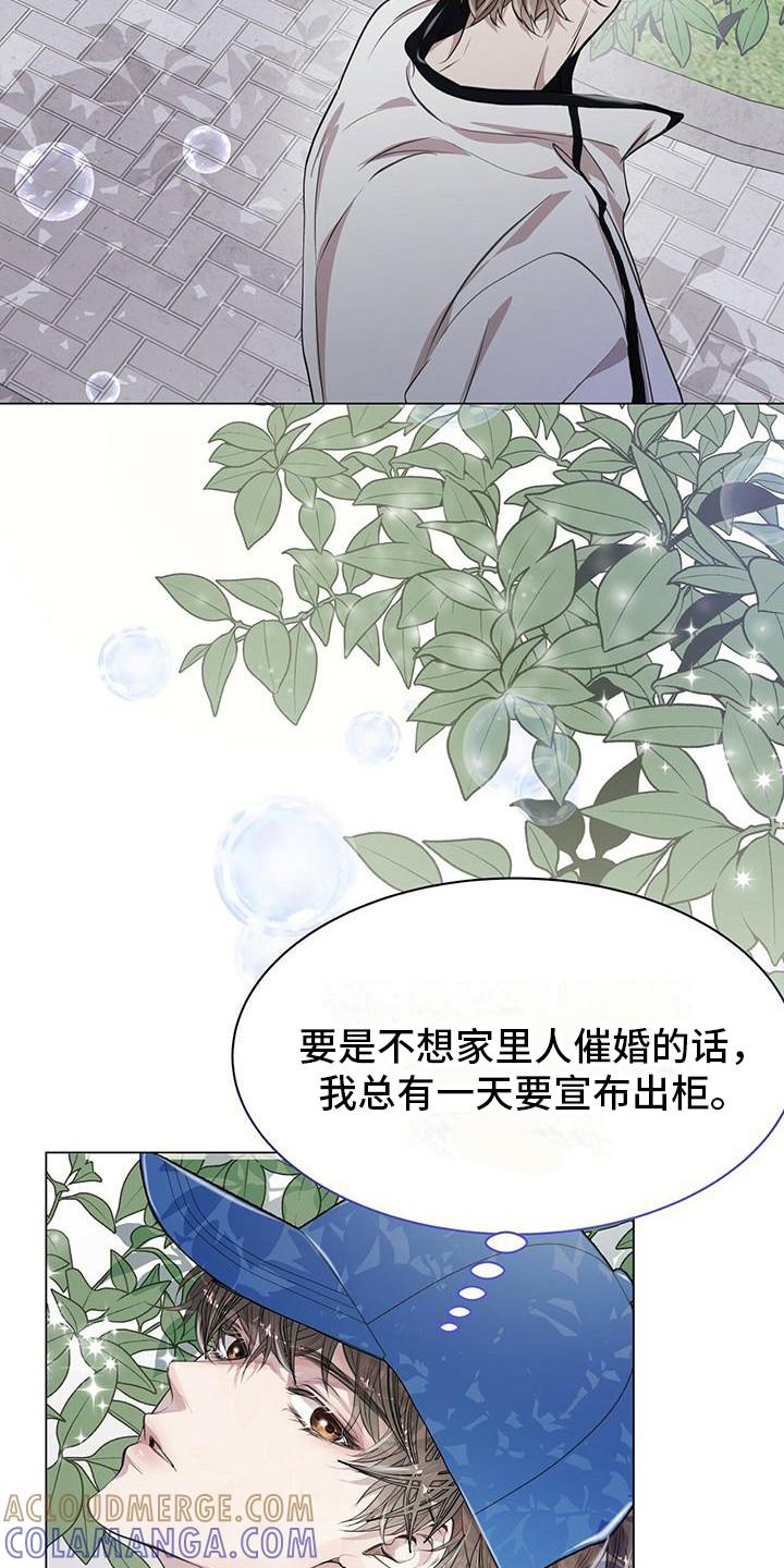 《虚情假意》第13章：公园巧遇 第13页