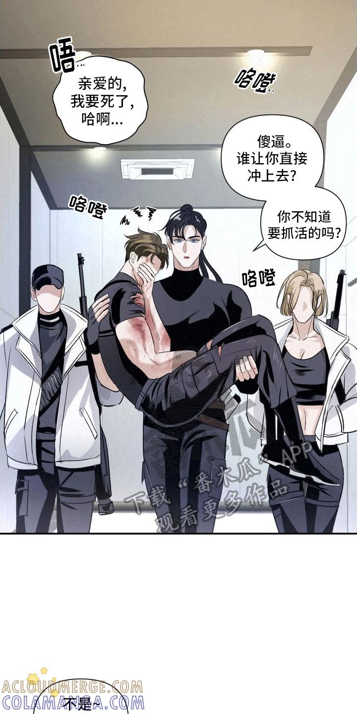 《血液指南》第13章：反击 第19页