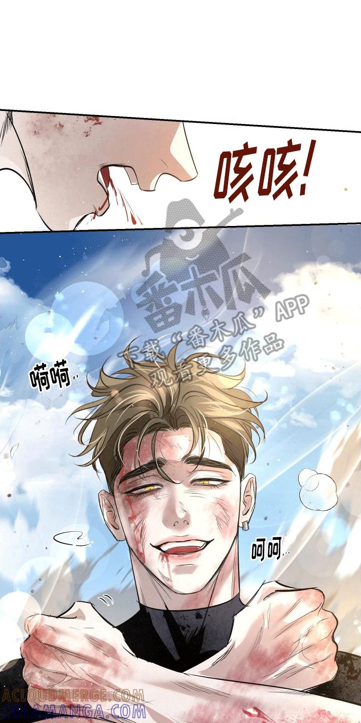 《血液指南》第13章：反击 第13页