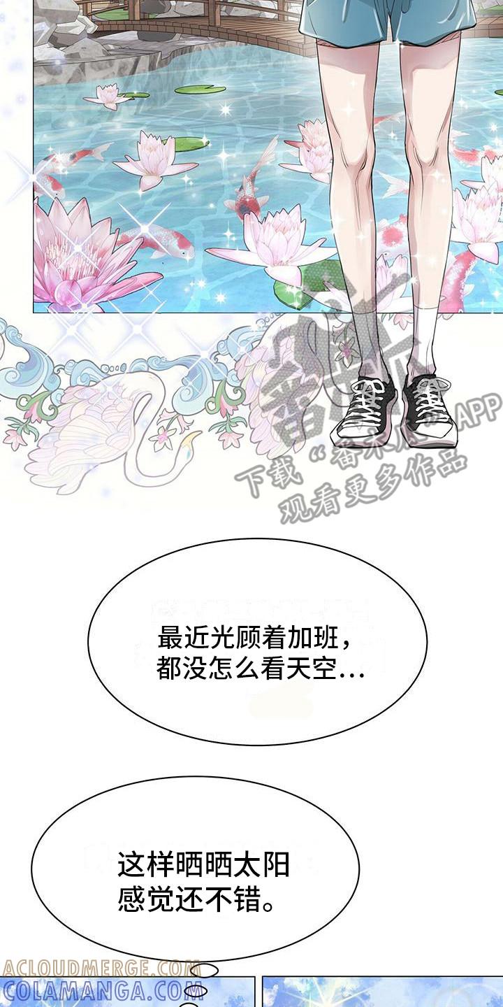 《虚情假意》第13章：公园巧遇 第17页