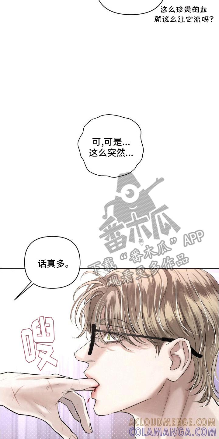 《血液指南》第14章：渴求 第13页