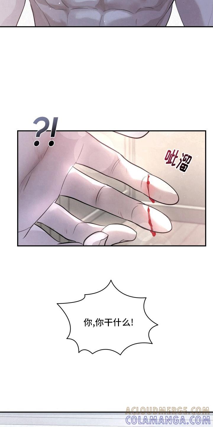 《血液指南》第14章：渴求 第11页