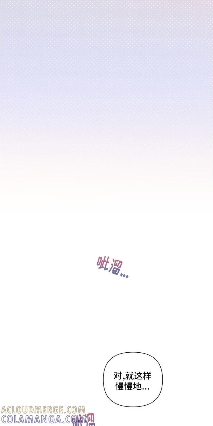 《血液指南》第15章：教学 第15页