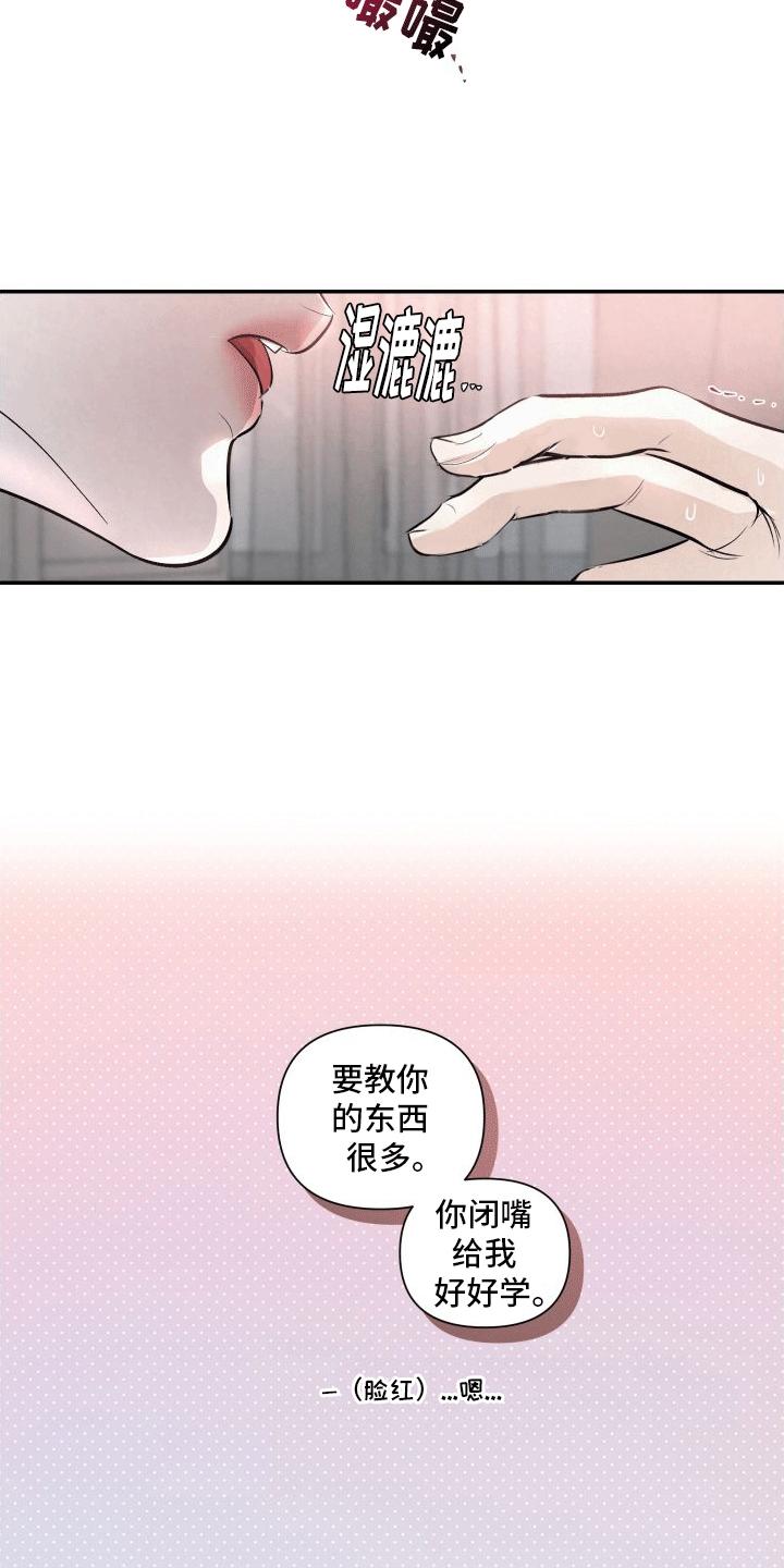 《血液指南》第15章：教学 第14页