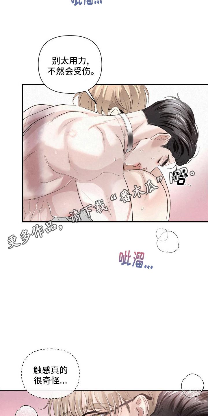 《血液指南》第15章：教学 第16页