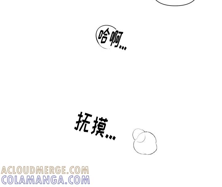 《血液指南》第15章：教学 第21页