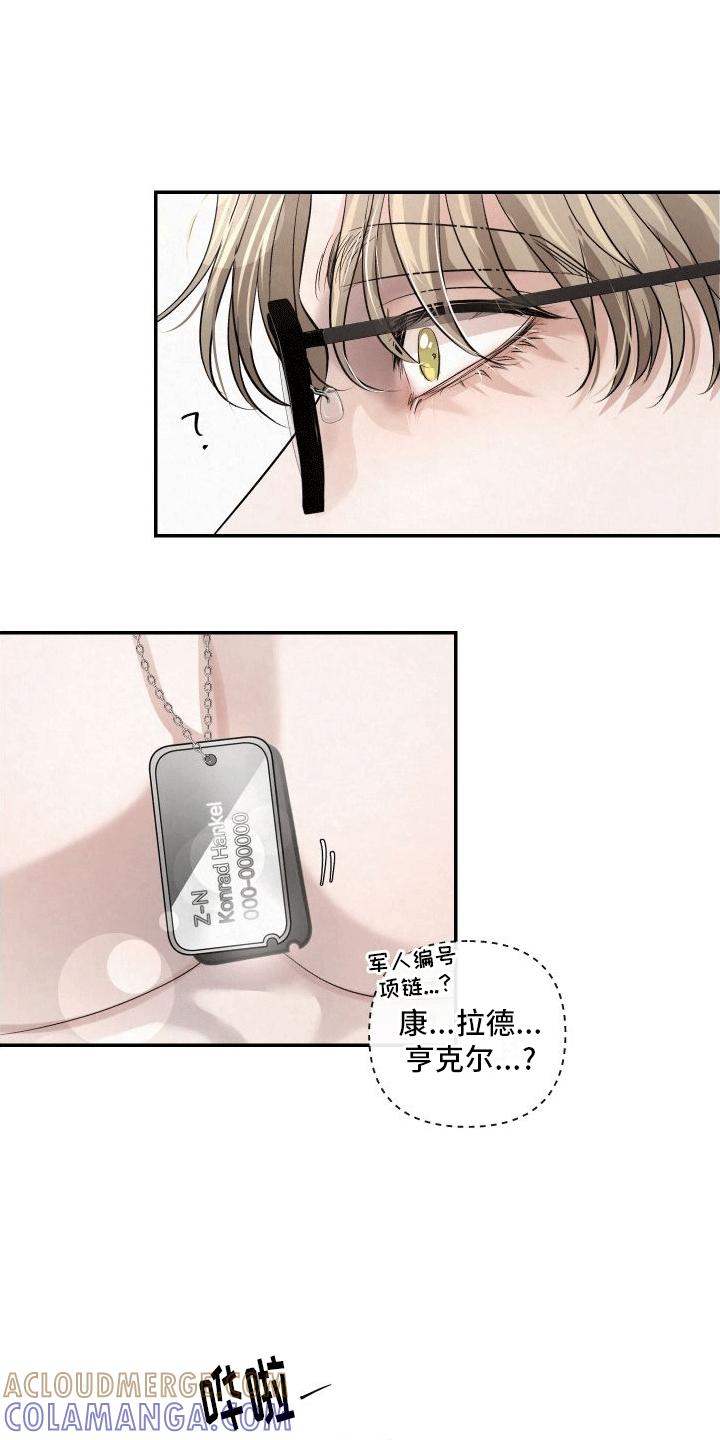 《血液指南》第15章：教学 第9页