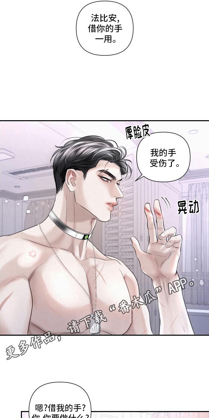 《血液指南》第15章：教学 第10页