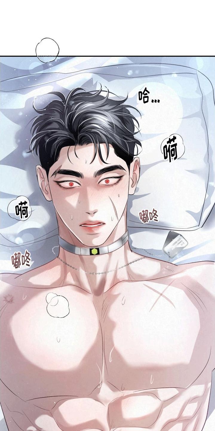 《血液指南》第16章：名字 第20页