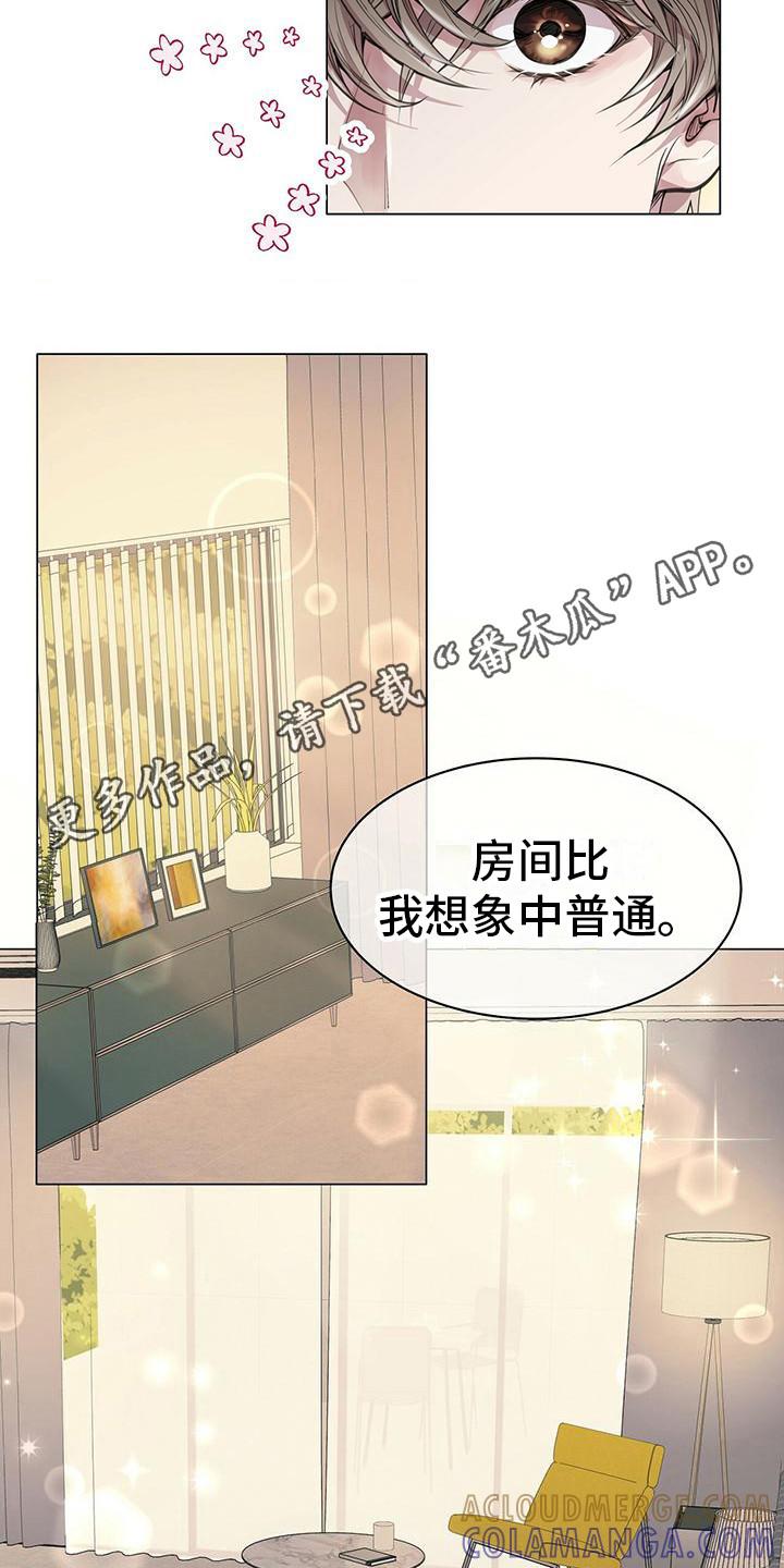 《虚情假意》第17章：挑选 第5页
