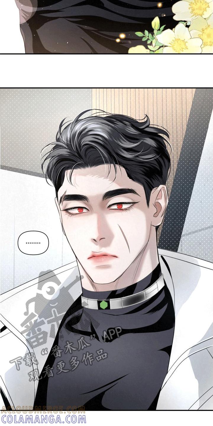 《血液指南》第18章：伤疤 第7页
