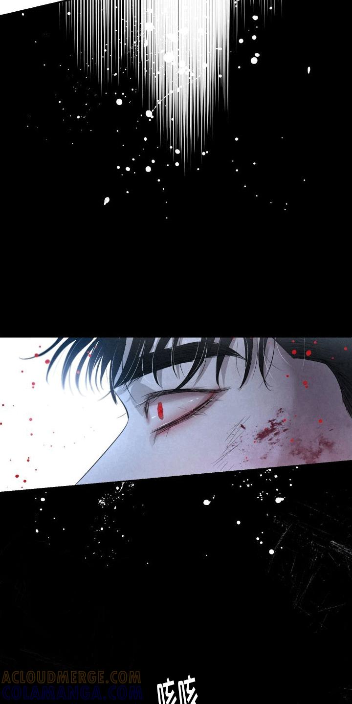 《血液指南》第18章：伤疤 第27页