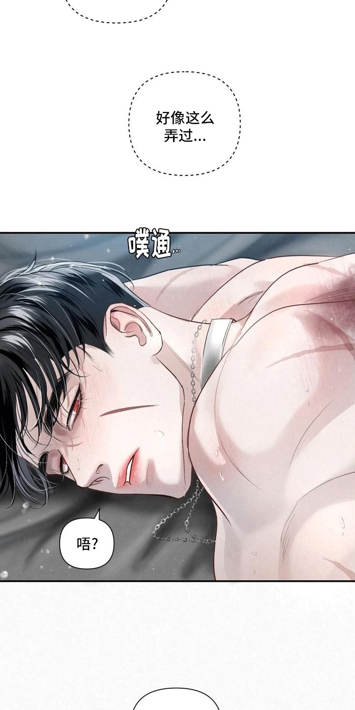 《血液指南》第18章：伤疤 第14页