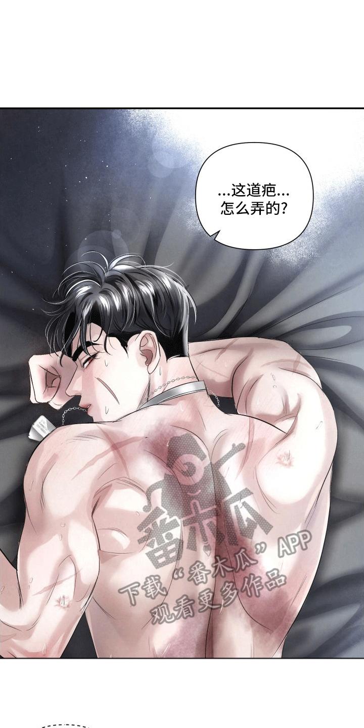 《血液指南》第18章：伤疤 第16页
