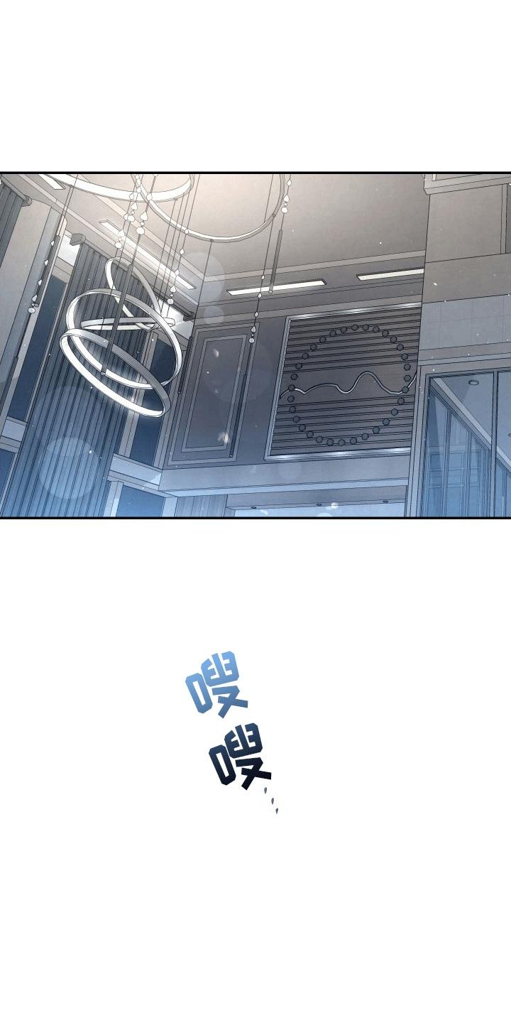 《血液指南》第19章：唯一的搭档 第6页