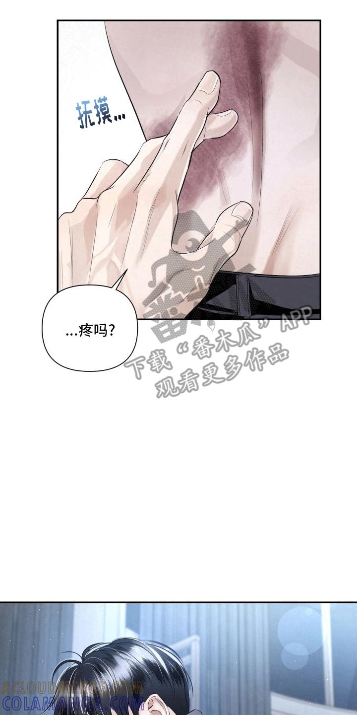 《血液指南》第19章：唯一的搭档 第7页
