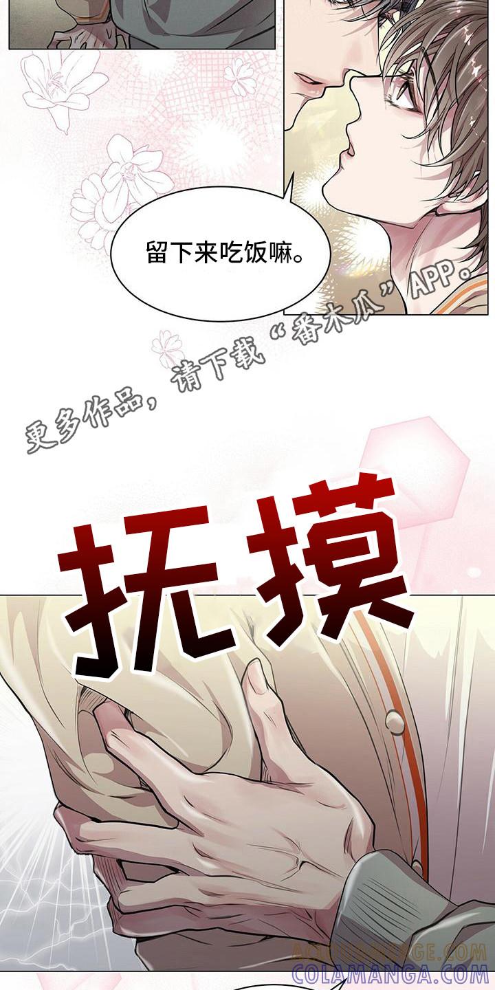 《虚情假意》第19章：条件 第5页