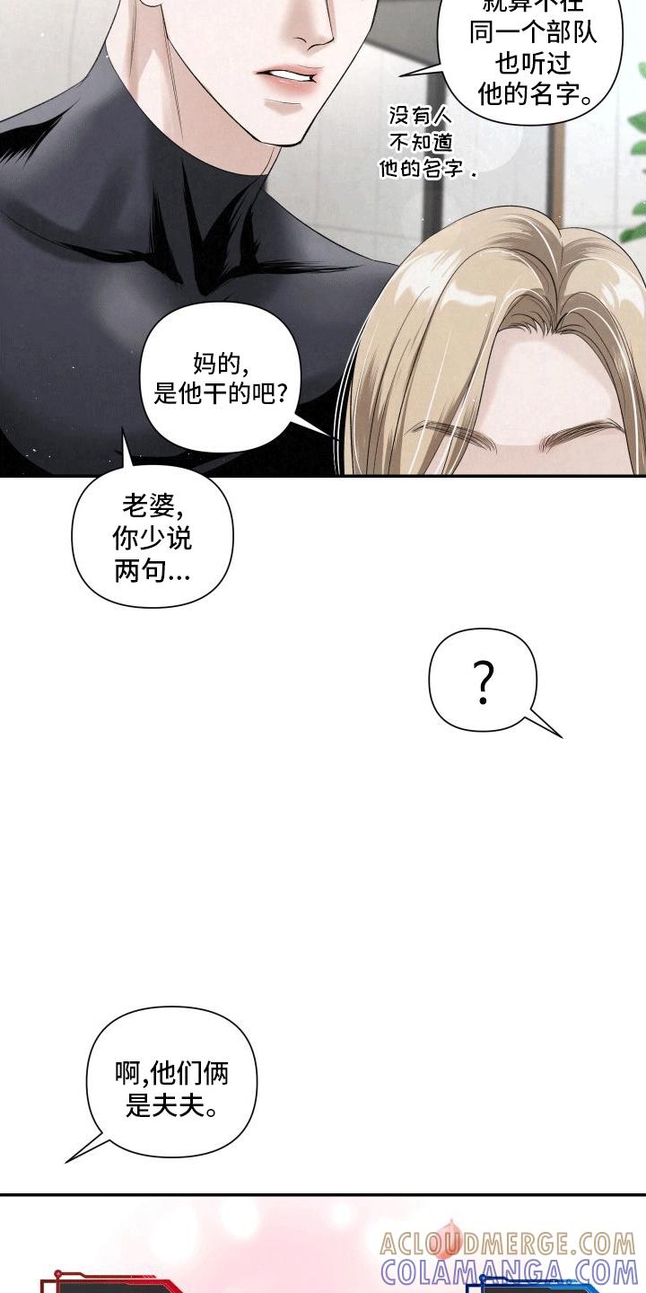 《血液指南》第19章：唯一的搭档 第29页